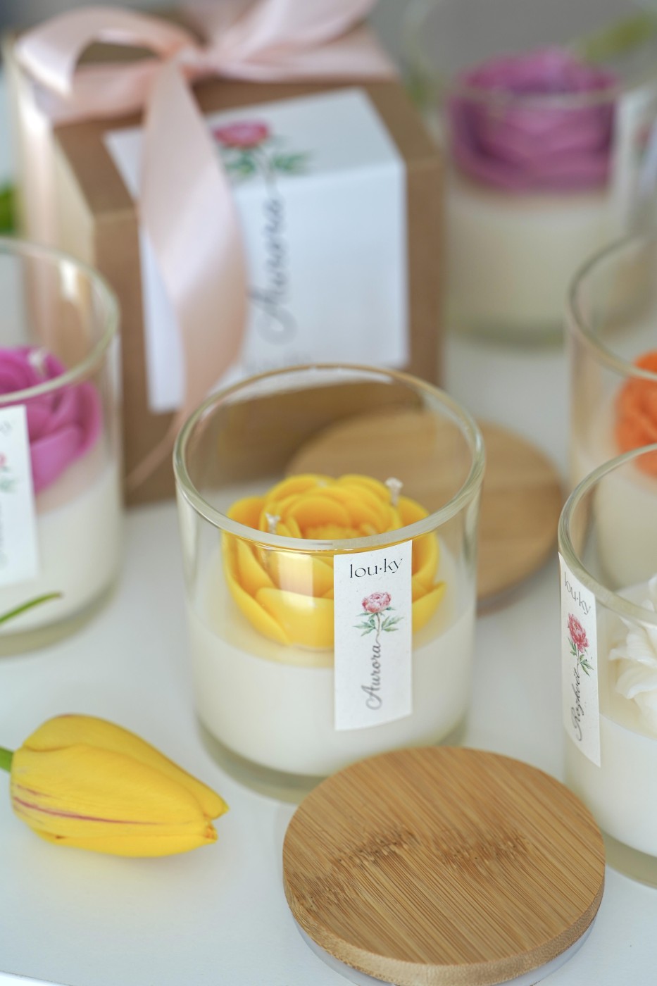 Aurora | Scented Soy Candle