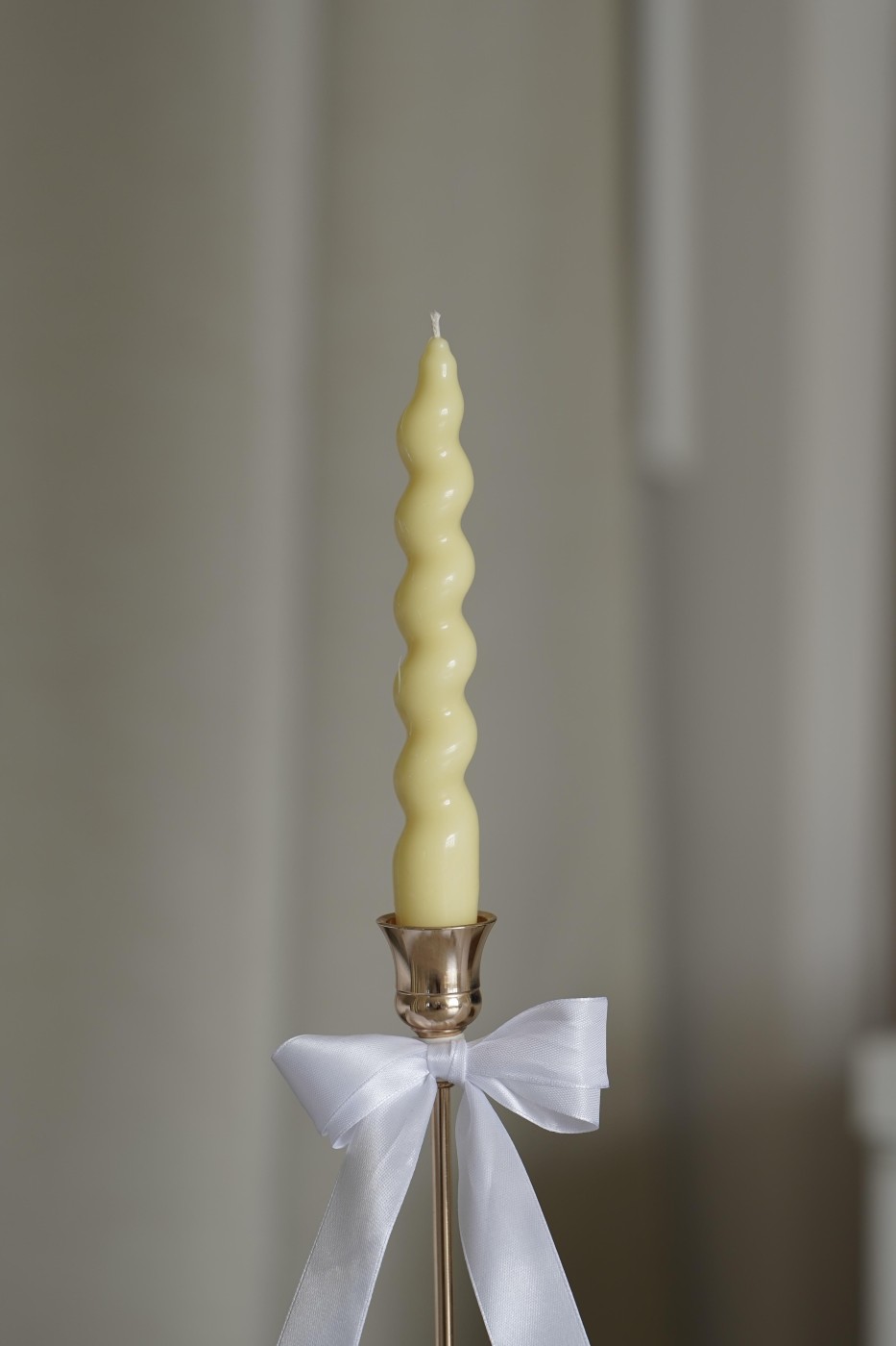 Sofia | Twisted Soy Candle