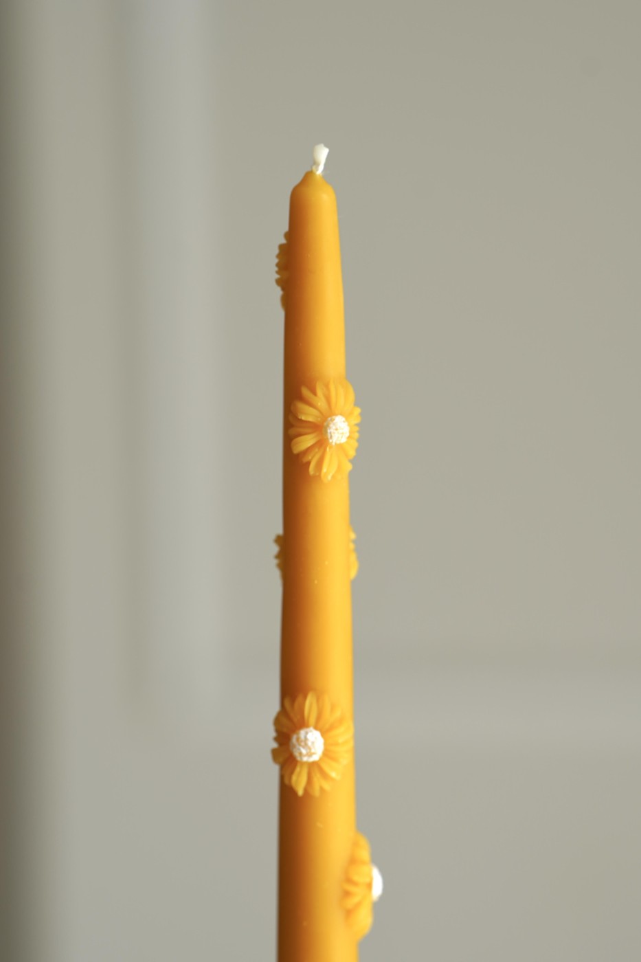 High Candle Daisy | Beeswax