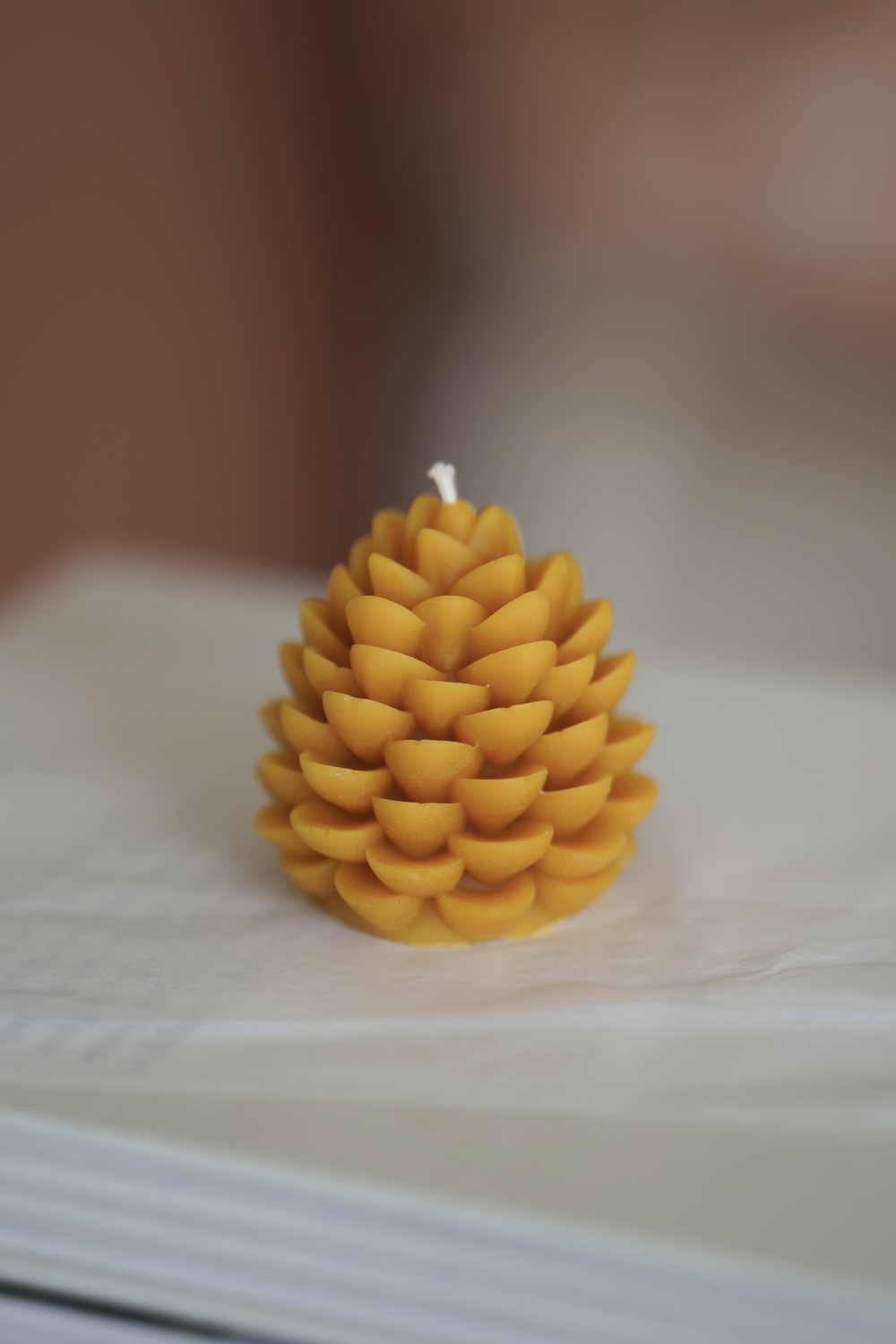 Cone | Beeswax