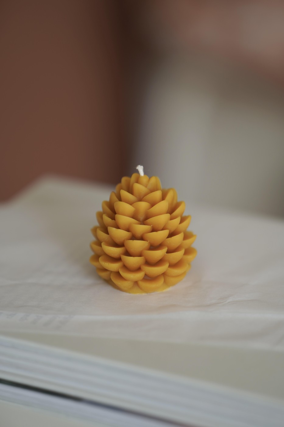 Cone | Beeswax